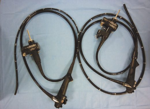 Photograph of a standard gastroscope and colonoscope