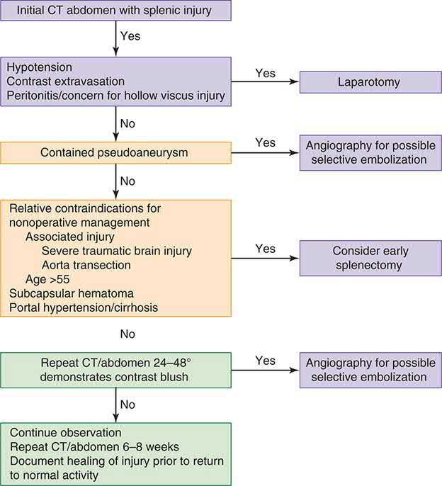 Management algorithm for blunt splenic injury